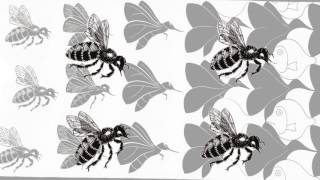 THE IMPACT OF GEOMETRY IN THE EXPERIMENTAL ANIMATION ¨Metamorphosis 2 ¨