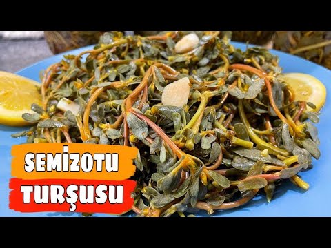 SEMİZ OTU TURŞUSU TARİFİ ???? NASIL YAPILIR ????HEMEN YAP???? İSTER 7 GÜN SONRA AÇ İSTER KIŞA SAKLA