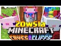 FINALMENTE!! AGGIUNTI gli AXOLOTL - Minecraft ITA 1.17 Snapshot 20w51a