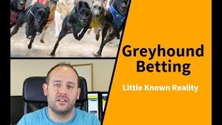 Greyhound Betting: Little Known Reality...