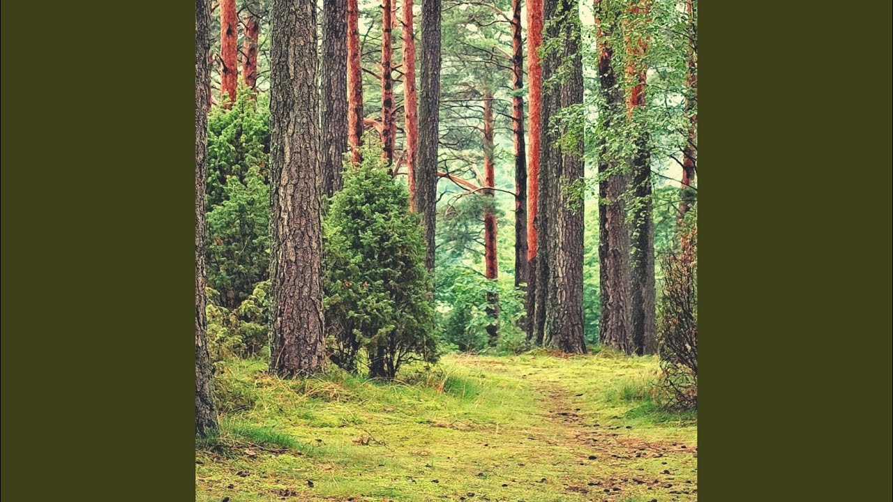 Piano and Cello Soundtrack for Improving Mental Health