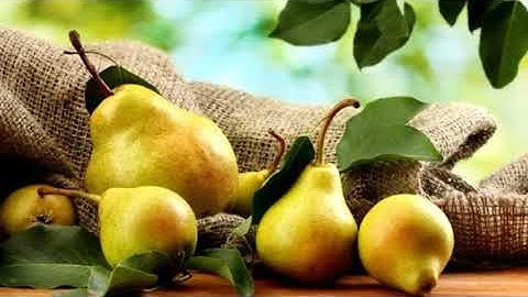🍐ՏԱՆՁԻ🍐 ՕԳՏԱԿԱՐ ՀԱՏԿՈՒԹՅՈՒՆՆԵՐԻ ՄԱՍԻՆ .🍐Տանձն🍐 օգտագործելուց ի՞նչ կանոններ պետք է իմանալ