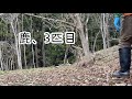 有害鳥獣捕獲員の日常13【くくり罠で鹿捕獲】