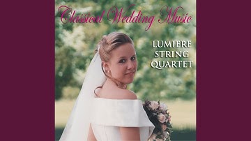 Symphony No. 9 in D Minor, Op. 125, "Choral": IV. Ode to Joy (arr. R. Paterson for string quartet)