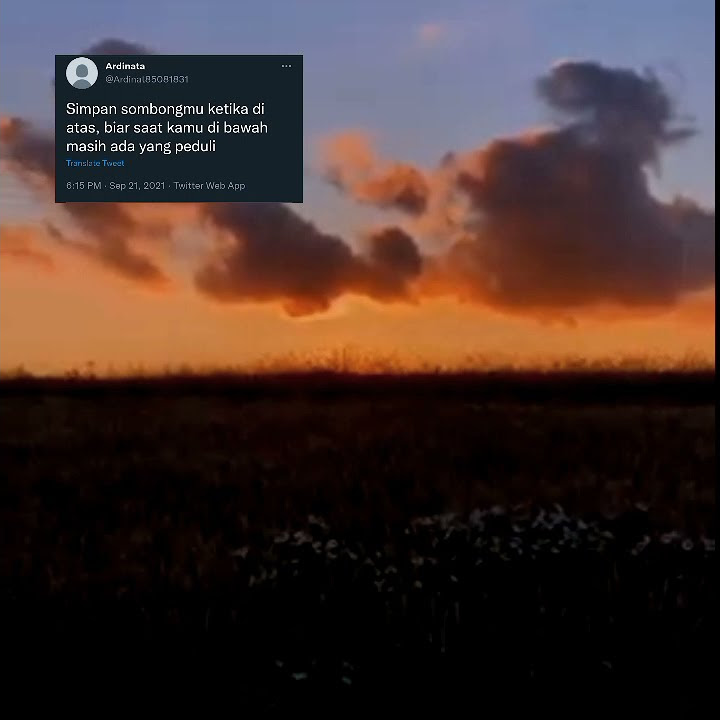 Story wa 30 detik terbaru || story wa kata kata twitter terbaru