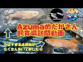 【メダカ】Azumaめだかさん飼育場訪問動画!やっぱり凄いメダカがいっぱいでした!