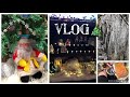 Vlog. Покупаю Продукты к Новому Году. Цены в Ереване. Новогодний Декор🎄. ASMR Украшалка.