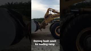 buah sawit masuk loading ramp.