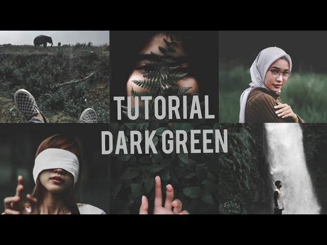 Adobe ligthroom tutorial #DarkGreen class=