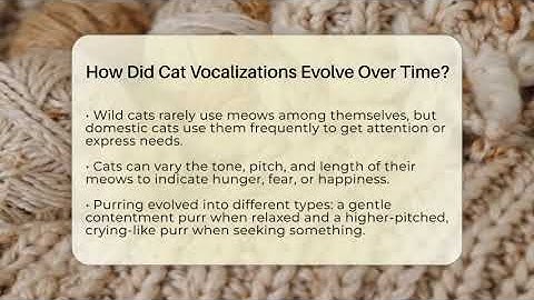 How Did Cat Vocalizations Evolve Over Time? - Happy Cat Handbook