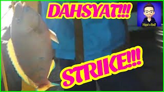 Keseruan Mancing | Ikan Di Tengah Laut screenshot 4