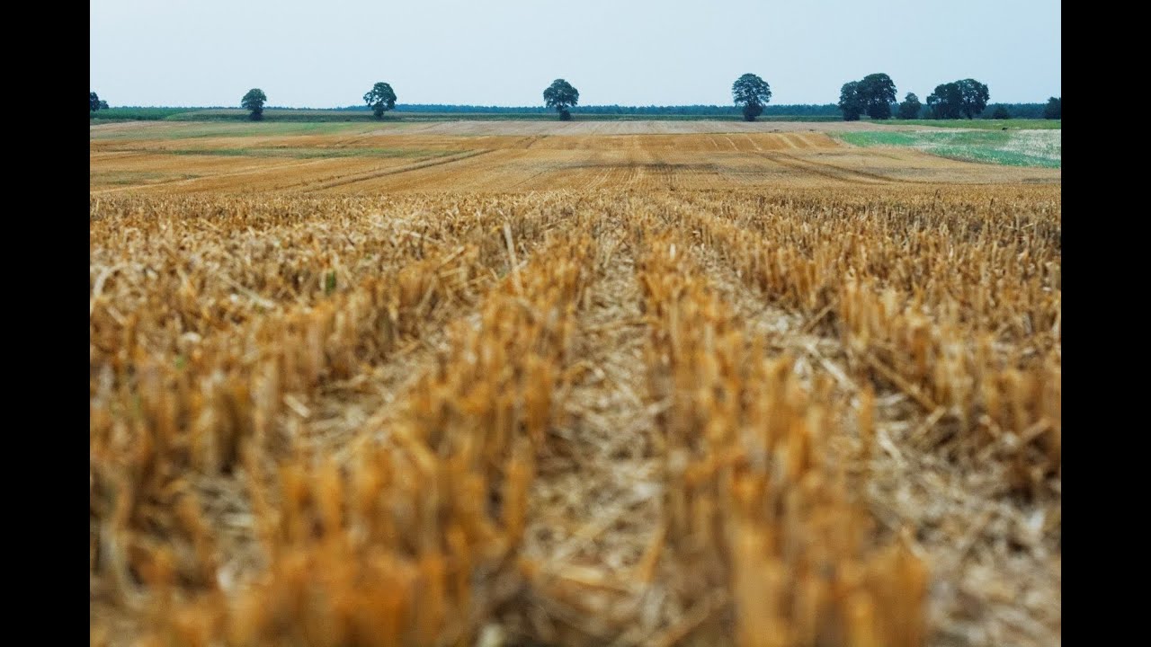 SÉCHERESSE ET EXCÈS D’EAU : COMMENT GÉRER LE SOL EN CLIMAT FUTUR?