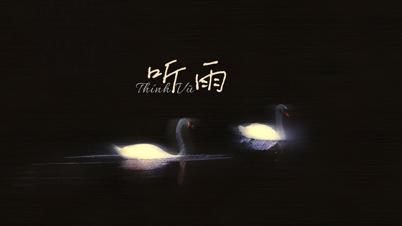 [Vietsub] Thính Vũ - Hỏa Oa Tư Lệnh 听雨 · 火锅司令