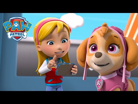 Katie leads the PAW Patrol to stop the barking cats! | PAW Patrol | Cartoons for Kids Compilation