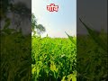 #viral #emotional