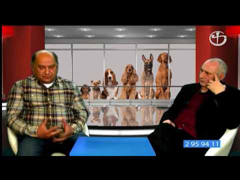 ან შეკითხვის აღქმა არ აქვს, ან უბრალოდ კითხვაზე პასუხი