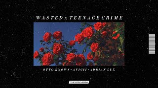 Otto Knows &amp; Avicii vs. Adrian Lux - Wasted x Teenage Crime (Seb Mashup)