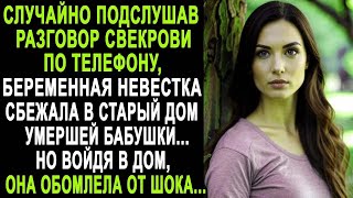 Случайно подслушав разговор свекрови по телефону, невестка сбежала в старый дом. Но заглянув туда...