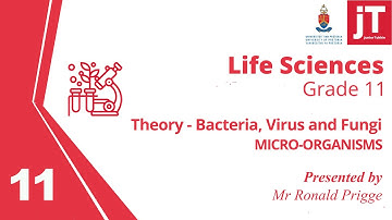 Gr 11 Life Sciences - Micro Organisms - Theory Video