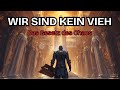 Das Ende der Magie Die 10 GESETZE der Sterblichen, die ALLES verändern Asche der Unsterblichen