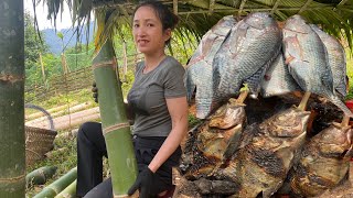 Building a bamboo tent  catch fish and grilled fish| Quan Thị Mai