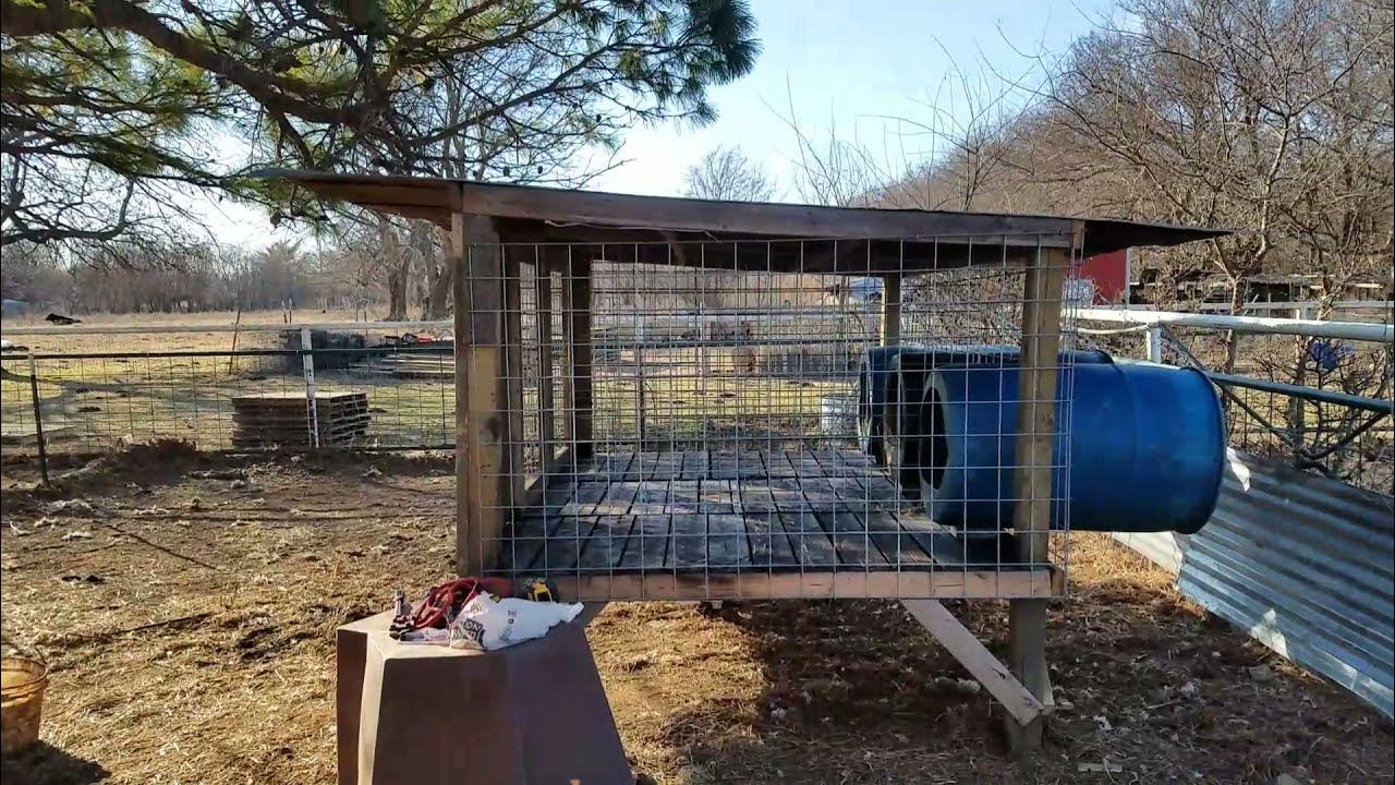 Off Ground Dog Kennel YouTube