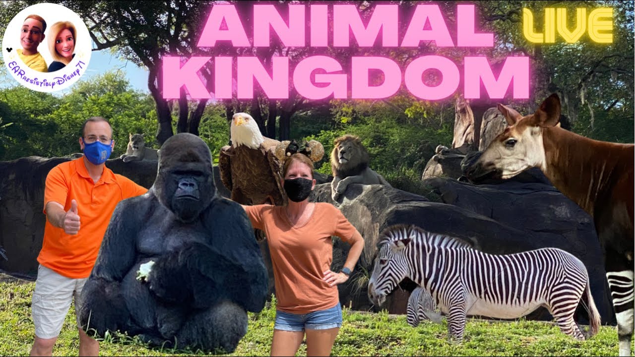 🔴Walt Disney World Live! Animal Kingdom! 5/17/21 YouTube
