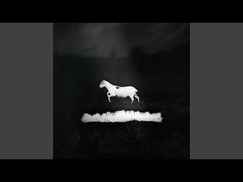 Les Discrets — Prédateurs