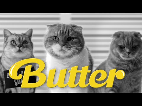 BTS( 방탄소년단) 'Butter' MV  고양이 뮤직비디오 커버
