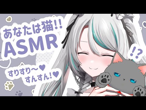 【 シチュエーション／#ASMR 】あなたは猫！ASMR💗迷い猫をすりすりすんすん… #whispering 【 #雛森アンシア / #vtuber 】