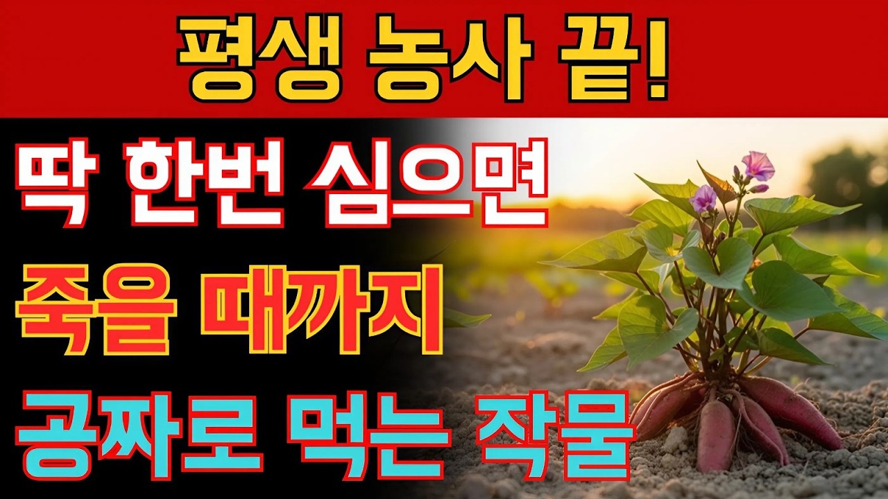 이제 농사 짓지 마세요! 한번 심으면 죽을 때까지 '평생' 공짜로 먹는 텃밭 작물 10선