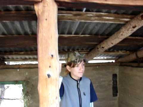 Mountain Lion Scream? - YouTube