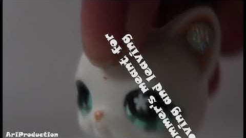 White Mustang for HoneyCrystal lps