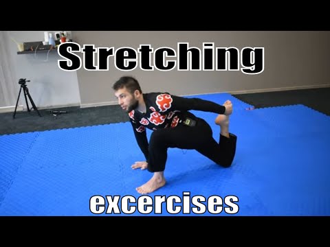 გაწელვა და გამძლეობის ვარჯიშები (stretching \u0026 stamina exercises) fight zone