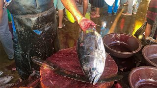 Tuna Fish Cutting Skills Live In Fish Market Fish Cutting Experts Fast Tuna Fish Cutting