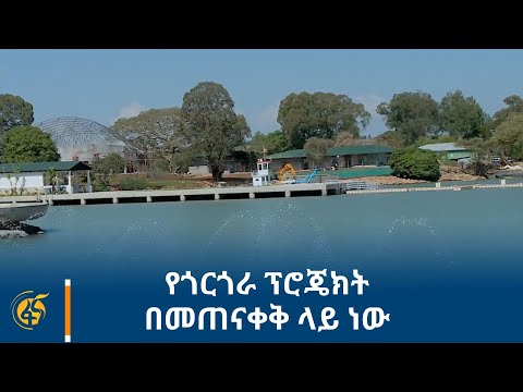 ቪዲዮ: ፕሮጄክት ዞምቦይድ ብዙ ተጫዋች አለው?