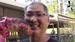 Chinese Bbq Marinade Chicken
