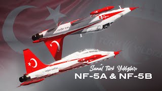 Sanal Türk Yıldızları Yeni Uçaklarına Geçiyor!