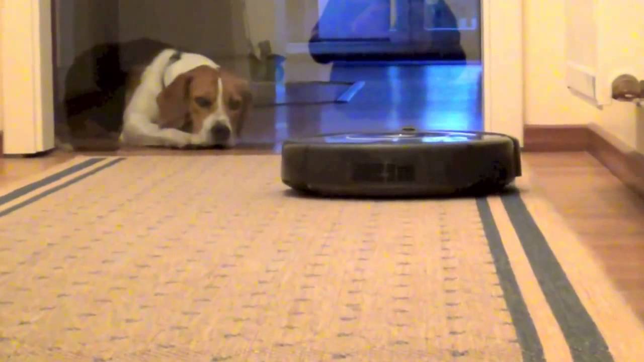 iRobot Roomba 650