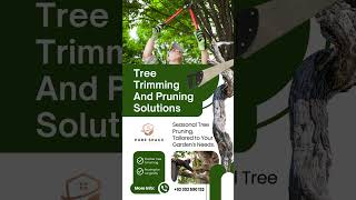 Healthy Trees, Beautiful Spaces