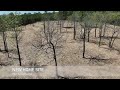 Four Acres Cleared near Wilburton, OK by the Wilkinson Bros Land Clearing LLC