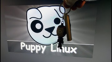 Complete Install Of Puppy Linux On Key-Chain Portable USB Flash Drive