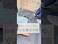 0円で雑草枯らします