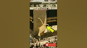 Kaba Sharif Gilaf Change Islam Shorts 