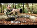 British Wildlife Photographer - Photographing Grey Squirrels