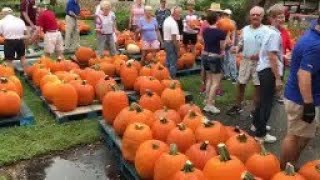 Video: Pumpkins Arrive at Christ by the Sea Church in Vero Beach
