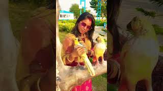 Download Lagu #shorts #short #shortvideo #viralvideo #love #chidiya MP3