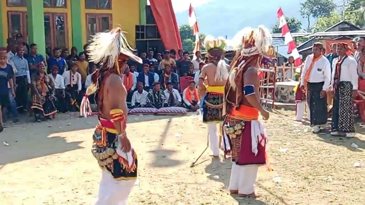 Beke caci natas coal || denge vs coal hari kedua