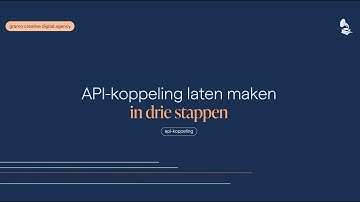 API-koppeling laten maken in 3 simpele stappen! Snel en gemakkelijk uitgelegd (1 minuut)