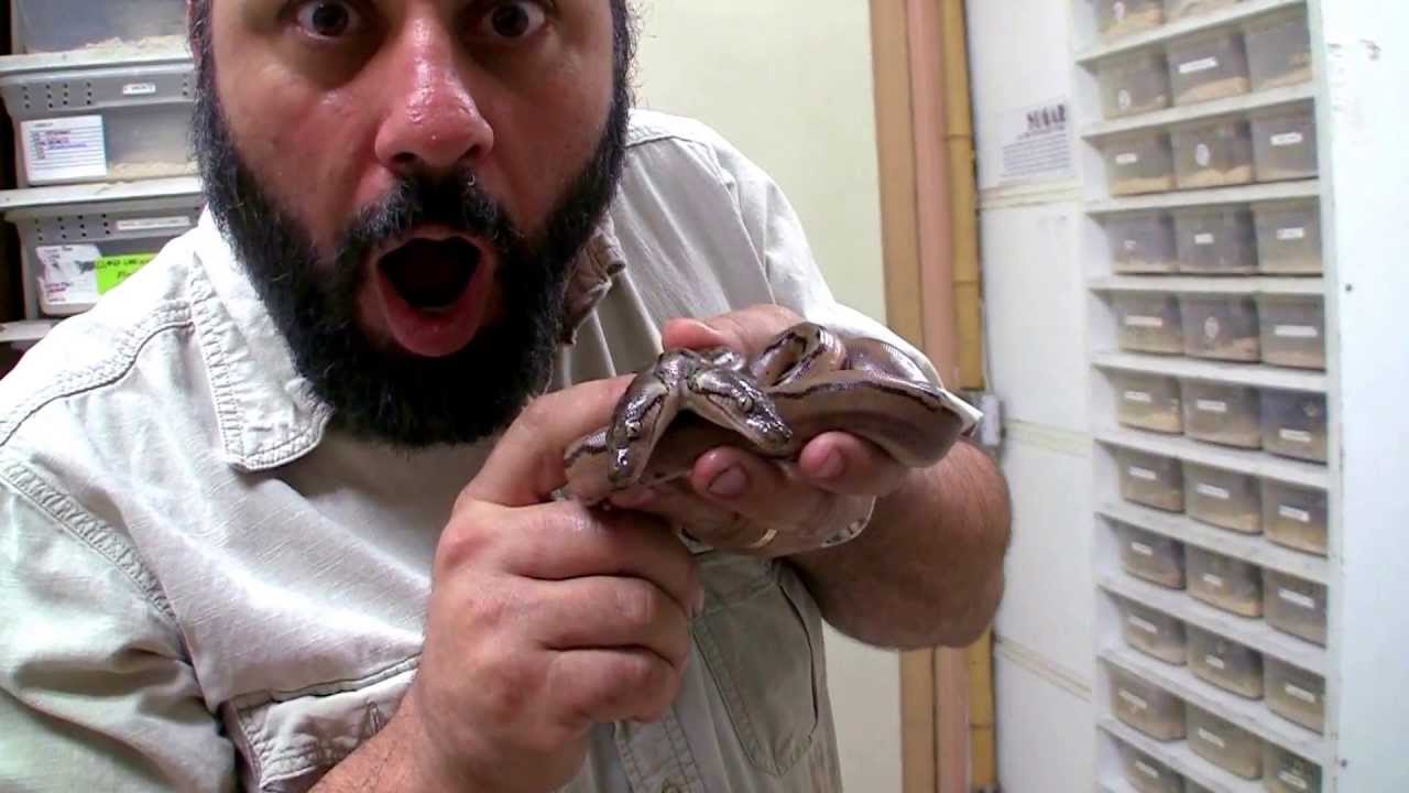 stranger things episodes You Think It's Photoshop?